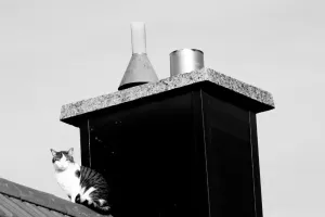 Polski producent kominów